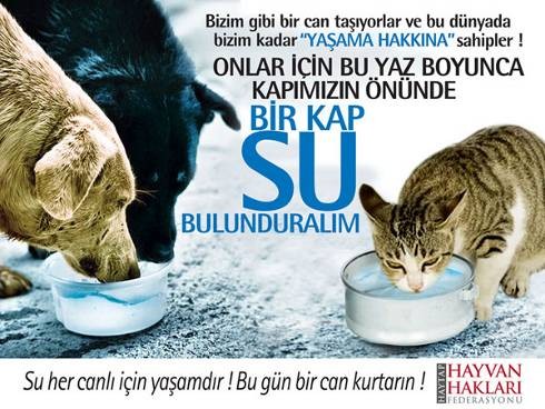 Reklam