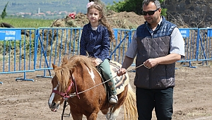 Akhisar At Panayırına büyük ilgi