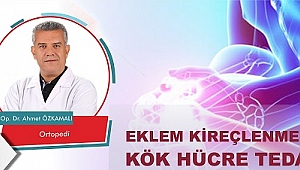 EKLEM KİREÇLENMESİNDE KÖK HÜCRE TEDAVİSİ
