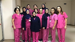 YILIN EBESİ SAĞLIK BAKANI TARAFINDAN ÖDÜLLENDİRİLDİ