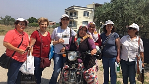 Efendi TAMAM -