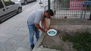 Hayvan Dostlarımız Susuz Kalmasın Diye