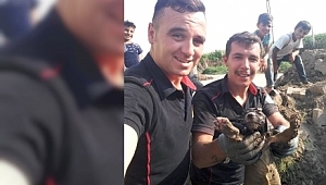 İtfaiye yavru köpek için seferber oldu