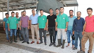 GENÇ ÇİFTÇİ PROJESİNDE KÜÇÜKBAŞ HAYVANLAR DAĞITILDI