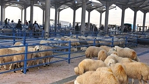 Manisa İli 2018 yılı Kurban Satış Yerleri Listesi