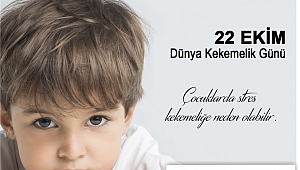DOĞRU BİR PROGRAM İLE KEKELEMLİK KONTROL ALTINA ALINABİLİR!