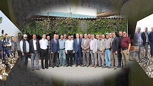 KAYMAKAM SABİT KAYA PAMUK HASATINDA