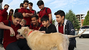 Öğretmenden hayat dersi