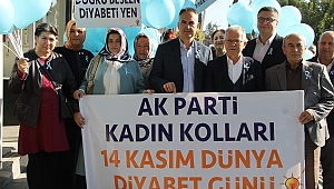 AK Parti Akhisar İlçe Kadın Kollarından diyabet farkındalığı