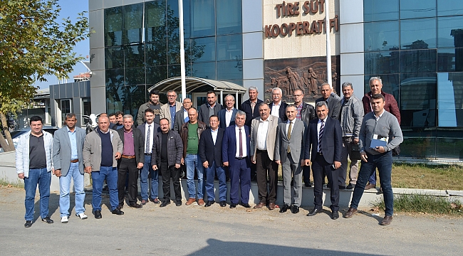 Akhisar'da zeytinde adım adım kooperatifleşmeye