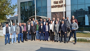 Akhisar'da zeytinde adım adım kooperatifleşmeye