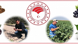 ORGANİK TARIM VE BİYOTEKNİK MÜCEDELE DESTEKLEMELERİ ÖDENİYOR
