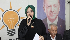 Şükran Füzün AK Parti'den aday adaylığını açıkladı