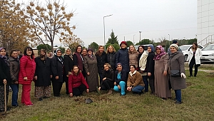 Anılar Hastane Bahçesinde Yaşayacak !