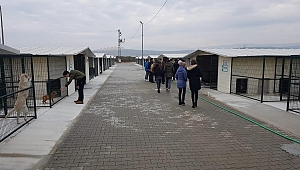 Akhisar Barınağı Öğrencileri Ağırladı