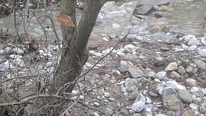 AKHİSAR'DA SELE KAPILDI, CESEDİ 3 GÜN SONRA BULUNDU
