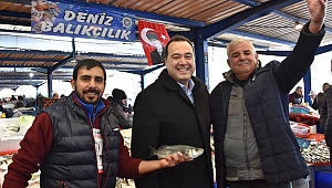 DUTLULU,
