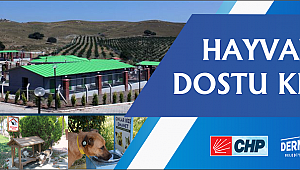 DUTLULU’DAN SOKAK HAYVANLARI PROJESİ