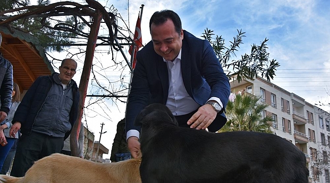 Başkan Dutlulu, sokak hayvanları için düğmeye bastı