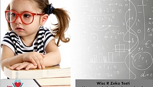 ÇOCUĞUNUZUN ZEKÂSINI KEŞFEDİN