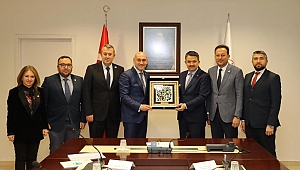 Zeytinde pilot Akhisar Hedef 100 milyon ağaç