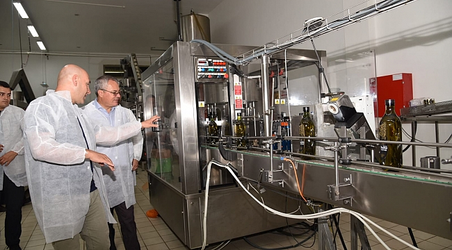 Vali Ahmet Deniz, Akhisar da Zeytinyağı Fabrikasında İncelemelerde Bulundu