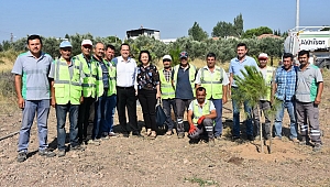 Başkan Dutlulu Daha Yeşil Bir Akhisar için kolları sıvadı