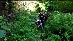 Jandarma dan Uyuşturucu Operasyonu