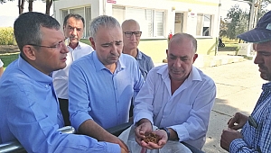 Bakırlıoğlu; Üzümde fiyat düşürmenin yeni yolu düşük numara!