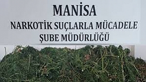 “Manisa Emniyet Müdürlüğünden Uyuşturucu Operasyonu”