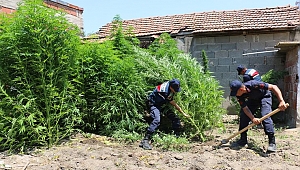 Kenevir yetiştirmek için deponun çatısına havalandırma boşluğu açmış
