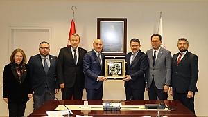 Zeytinciden 400 bin teşekkür