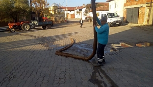AKHİSAR'DA GÖREN ŞAŞTI KALDI! 10 METRE UZUNLUĞUNDA