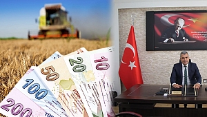 Prim Desteklemeleri İçin Müracaatlar Başladı