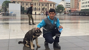 Temizlik işçisi ve sokak köpeğinin içleri ısıtan dostluğu
