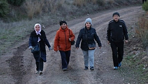 2019 yılının son doğa yürüyüşü Zeytinlibağ parkuru oldu