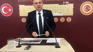 BAKIRLIOĞLU TEKEL ARAZİLERİ ÖZELLEŞTİRMELERİ “Çayın Taşıyla, Çayın Kuşunu Vurmak”