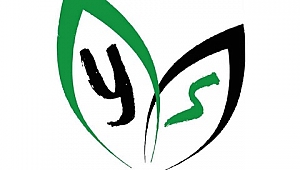 Yeşil Siyah Taraftarlar Derneği nden Açıklama