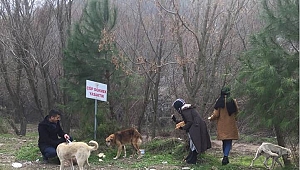 Akhisar Ülkü Ocakları Ormandaki dostlar aç kalmasın