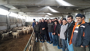ŞARTLARI TAŞIYANLARIN 5 BİN TL.HİBE ALACAĞI SÜRÜ YÖNETİMİ KURSU YOĞUN İLGİ GÖRÜYOR