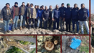 İLÇE TARIM’DAN BAĞ ÜRETİCİLERİNE TEKNİK DESTEK