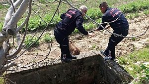 İtfaiye Ekipleri Yavru Köpeği Sulama Kuyusundan Kurtardı