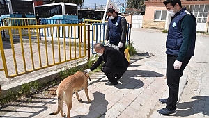 Sokaktaki Canlarımızı Unutmuyoruz