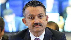 Tarım ve Orman Bakanı Pakdemirli: Tarım ve hayvancılık faaliyetlerinde bulunanlar sokağa çıkma yasağından muaf tutulacak