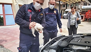 Otomobilin Motoruna Sıkışan Kediyi İtfaiye Ekipleri Kurtardı
