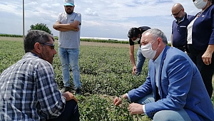 Bakırlıoğlu, aşırı yağış ve dolu nedeniyle tarım alanları zarar gören Akselendi kasabasında incelemelerde bulundu