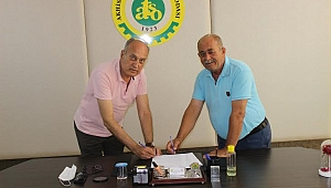 AKHİSAR USLU VE DOMAT ZEYTİNLERİNİN COĞRAFİ İŞARET KULLANIMI ARTIYOR