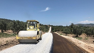 Akkoca, Grup Yolunda Sona Gelindi