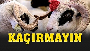 HALK EĞİTİMİ MERKEZİ TARAFINDAN KURBAN KESİM ELEMANI KURSU AÇILACAKTIR