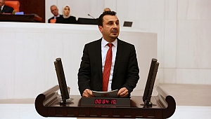 CHP'li Başevirgen